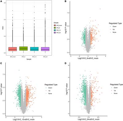 Toll-like receptor 2 signaling pathway activation contributes to a highly efficient inflammatory response in Japanese encephalitis virus-infected mouse microglial cells by proteomics